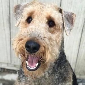 Meet your Posher, Colleen